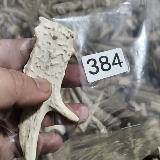 奥***开鹿角鹿角鹿角鹿角鹿角鹿角