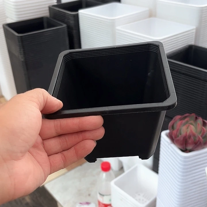 福利140黑方盆10个口13厘米高10厘米