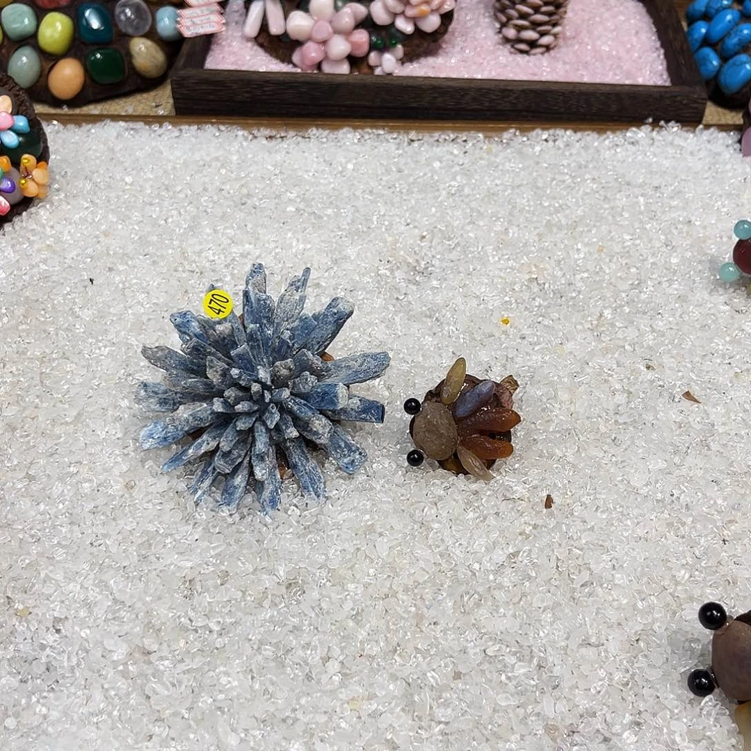 虫***虫松塔干花莲蓬干花