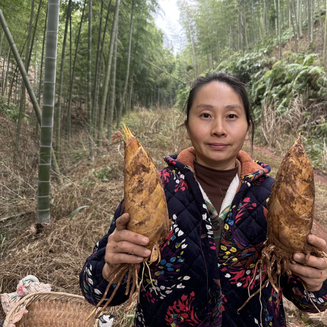 赤水当季新鲜带壳现挖高山野生楠竹冬笋（去掉部份老头发货）