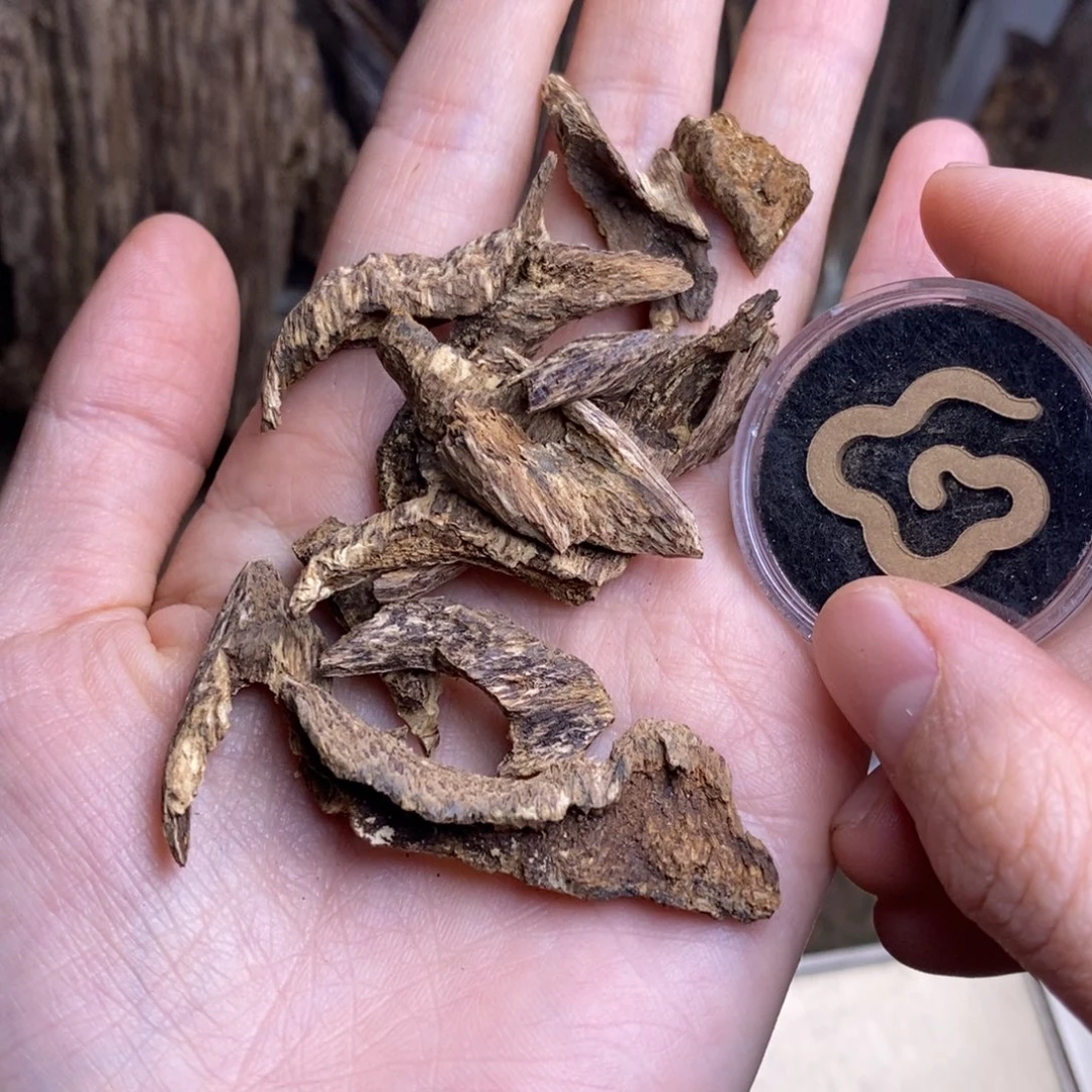 打***魚沉7.99克。