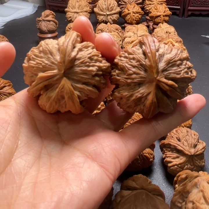 白狮子两棱挂角核桃哈哈哈哈哈哈