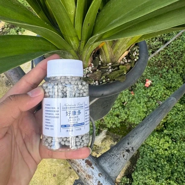 好康多（兰花专用缓释肥）