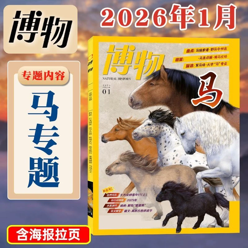 博物杂志2026/2025年单月中小学课外动物植物昆虫文化科普期刊