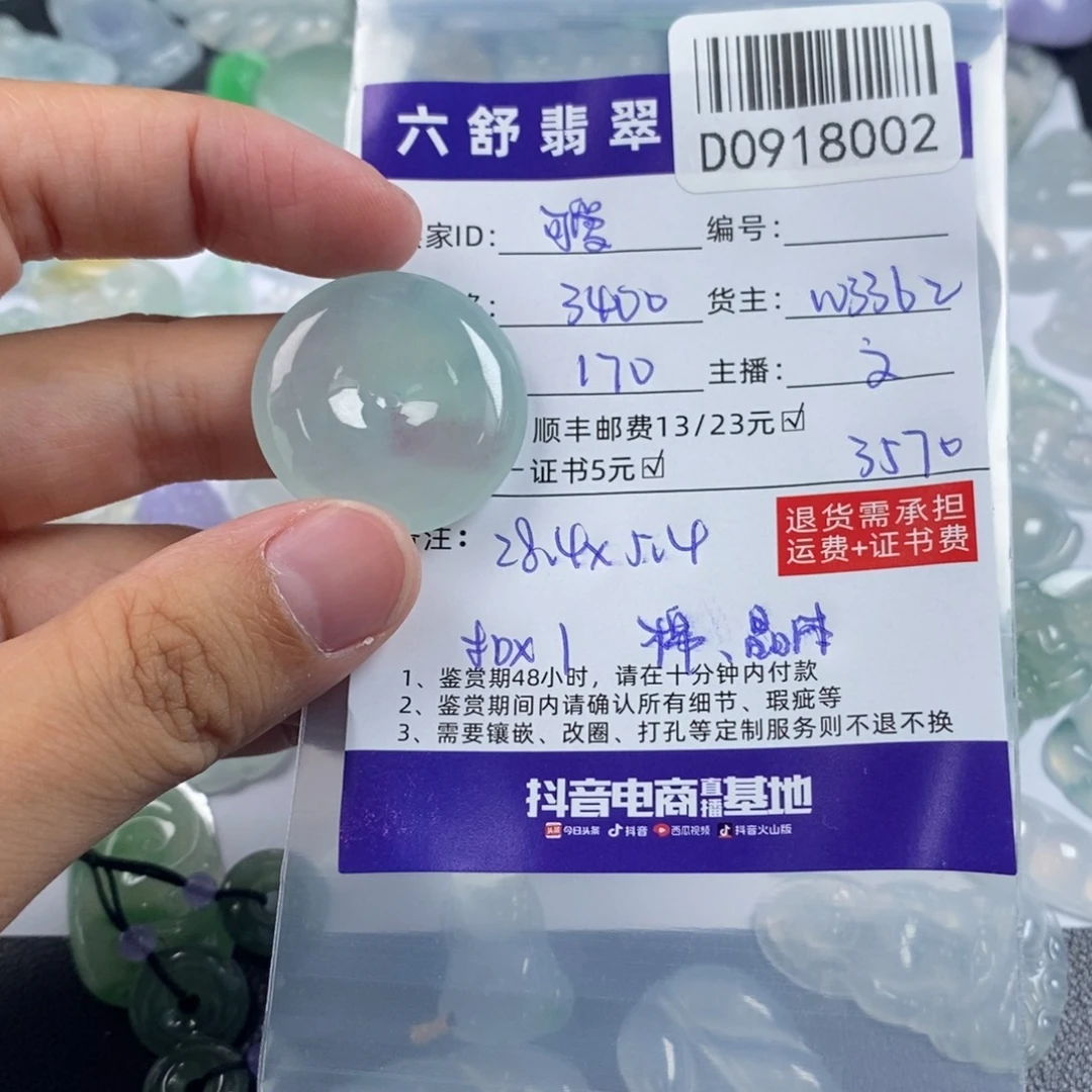 可***多未镶嵌挂件翡翠D0918002