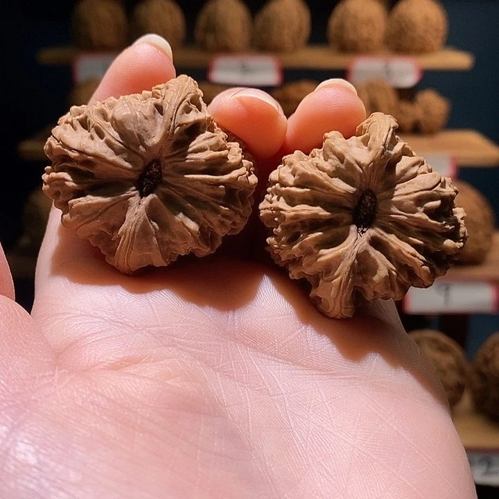 达***世南将石文玩核桃福袋