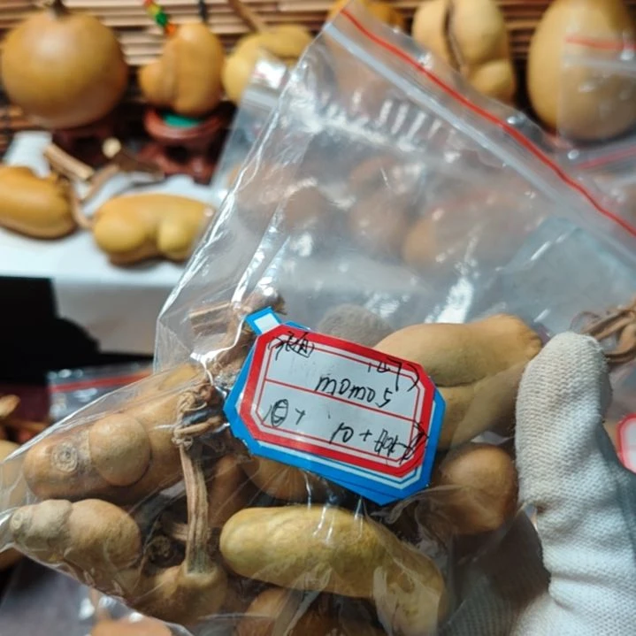 m***5精品土豆葫芦一物一拍