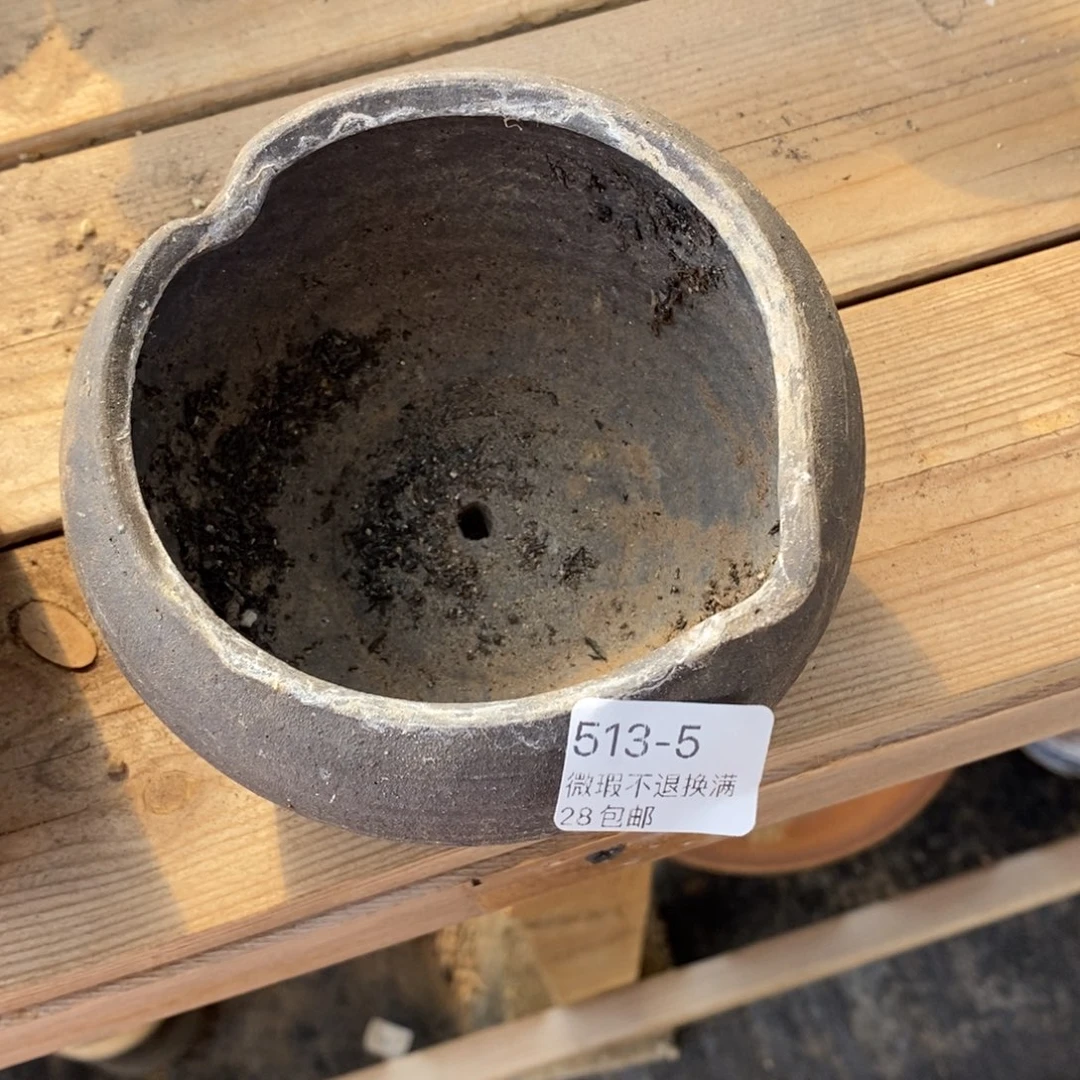 5号多肉盆小可爱口径10