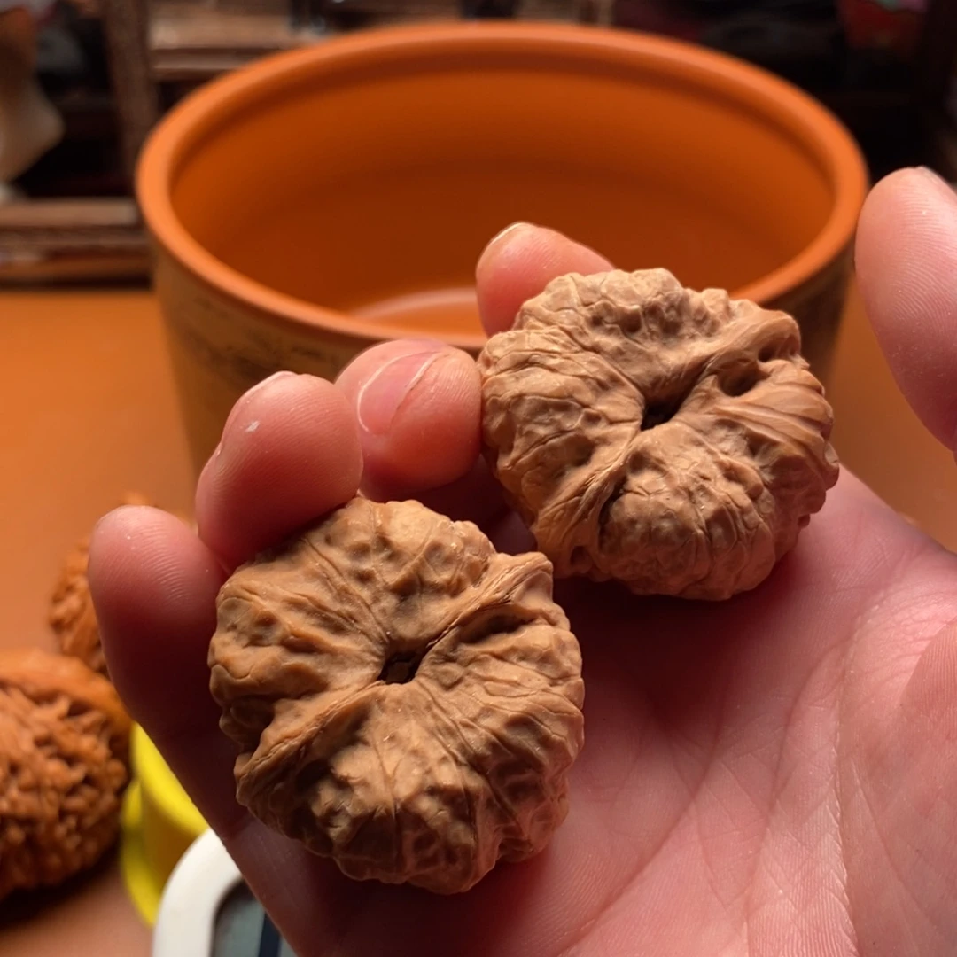 文玩核桃福利福利