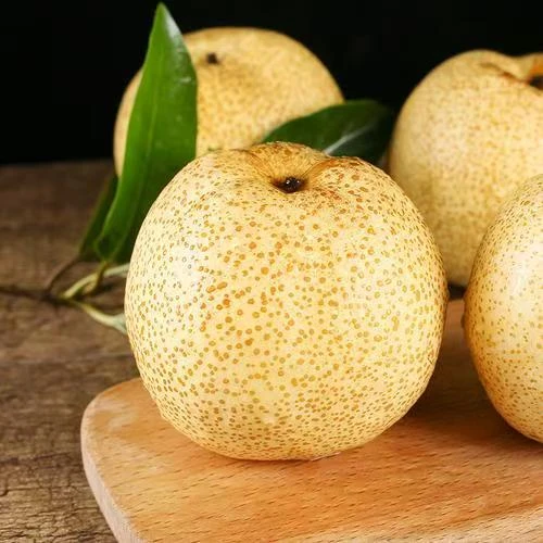 【陕西礼泉】砀山酥梨爆甜脆梨新鲜薄皮陕西省