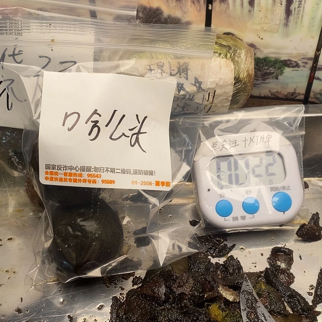 羽***召55555555555555555555555555