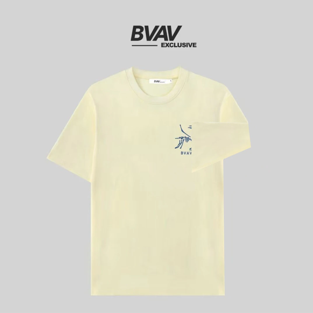 BVAV 【化石鸟】男士夏季休闲短袖圆领T恤 BV113