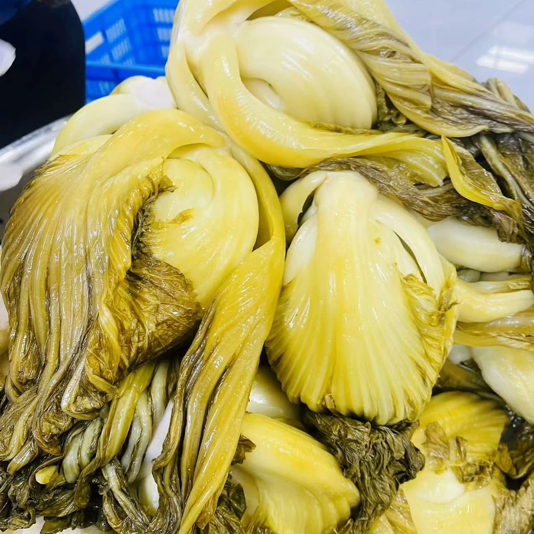广西烫水酸菜水碌菜山泉水腌制酸菜鱼用（传统农家菜）