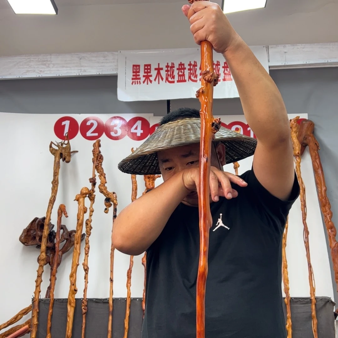 绝***使黑果木其他黑果木540