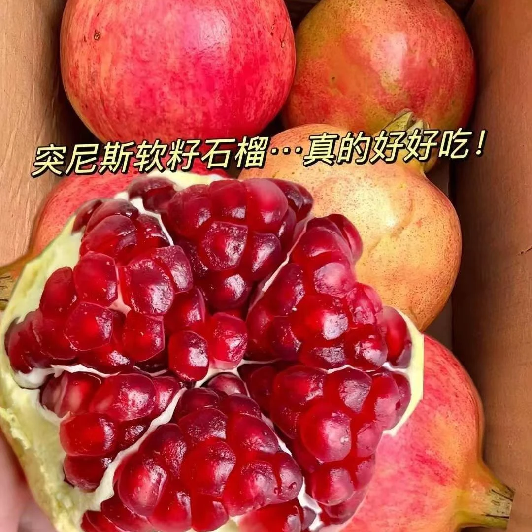 子满堂精品石榴 6颗 净重2.8-3.2斤