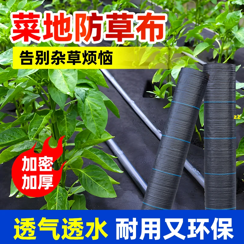 菜地防草布果树专用除草布新型果园耐用地布厂家直销塑料地钉地膜