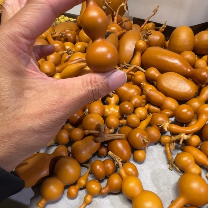 木***鱼木木鱼到一把天津嘴八包葫芦葫芦