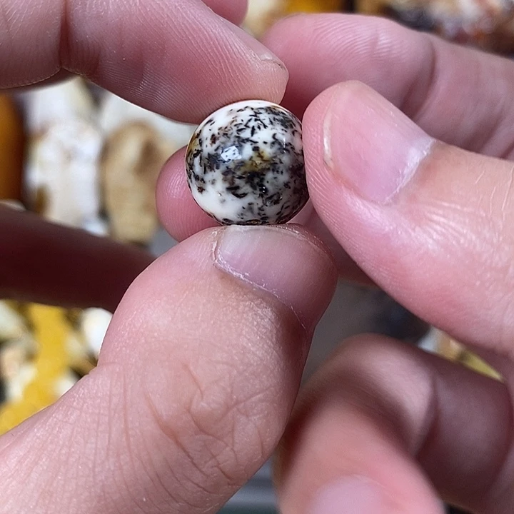 裸石琥珀未镶嵌我
