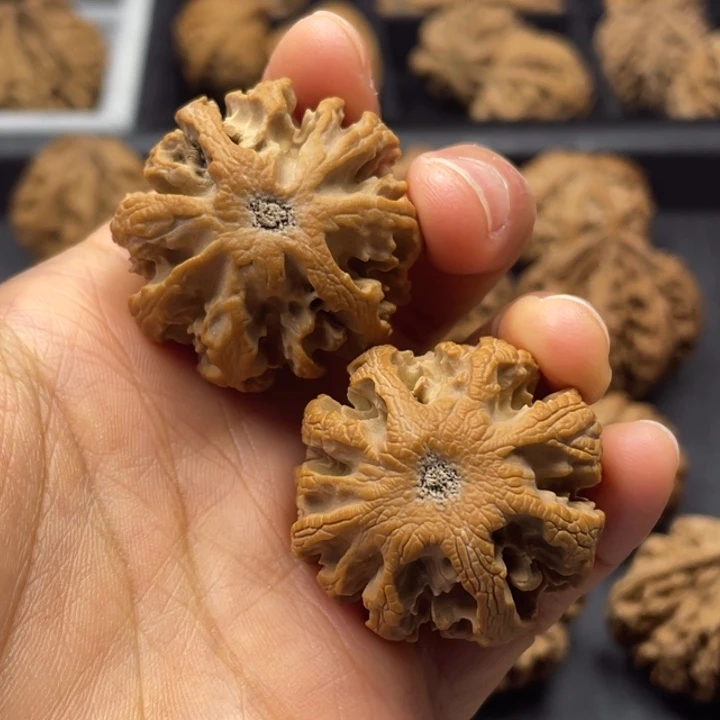 文玩核桃吊坠突突突突突突突突