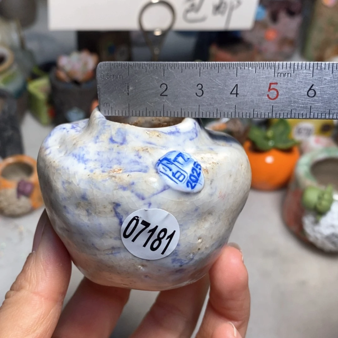 花盆拍2个送一个小礼物