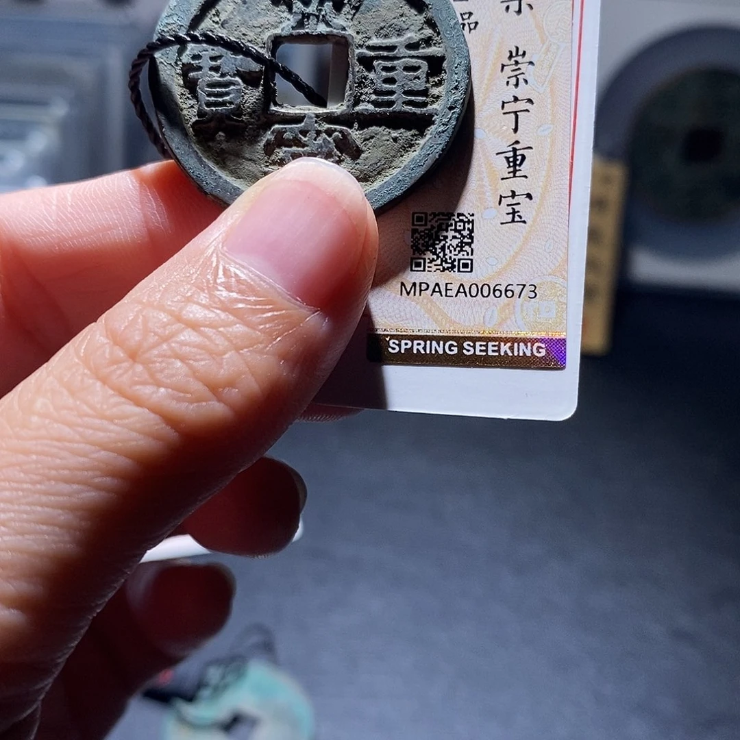 贝壳11 恭喜发财恭喜发财