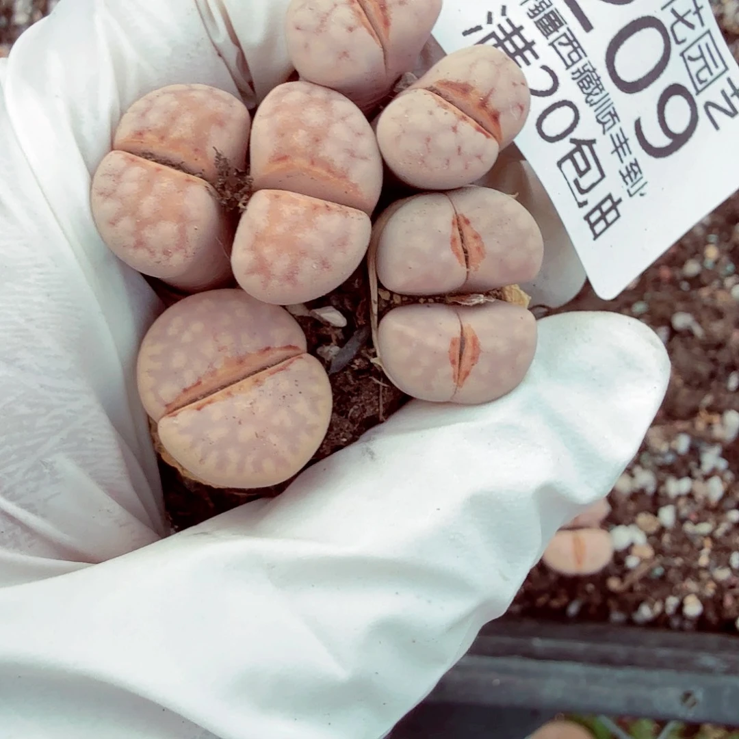 我就去看看她家门口209