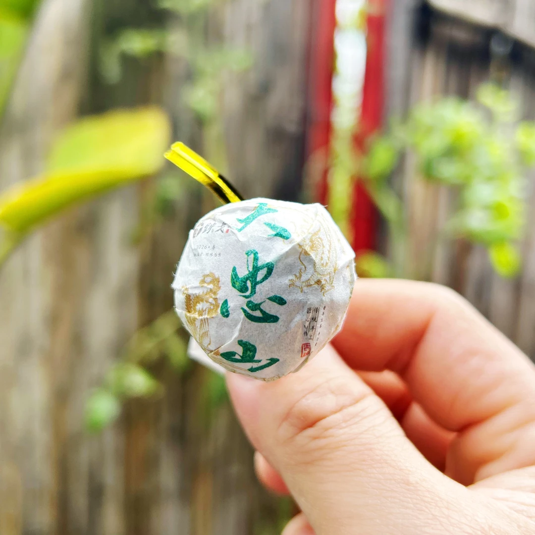 2026年 大忠山春茶古树龙珠12颗装普洱茶生茶