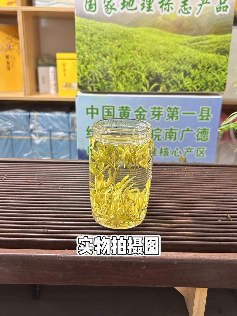 2025珍稀奶白香黄金芽鲜甜型袋装罐装礼盒装