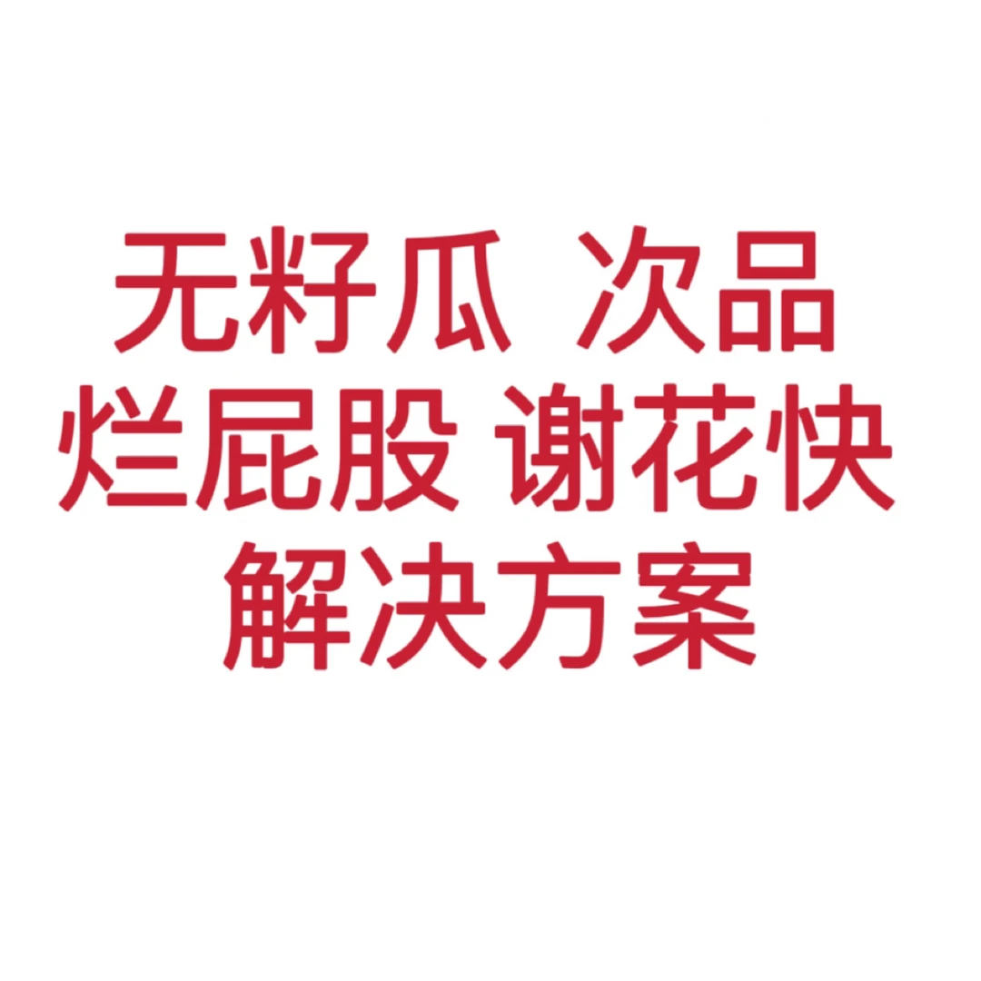 C无籽瓜  次品 烂屁股 谢花快 解决方案