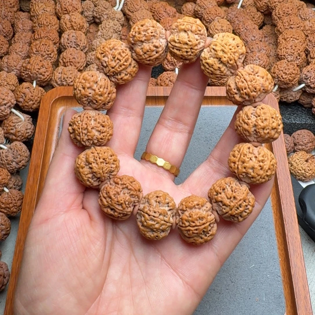 菩提菩提25号尼泊尔大金刚23五瓣梅花