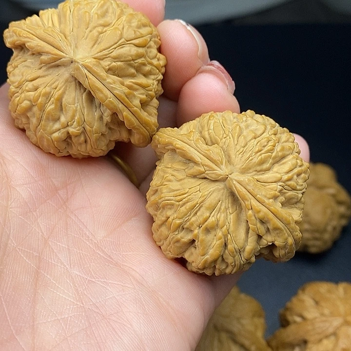 ネ****吊坠龙脊菩提白师子43