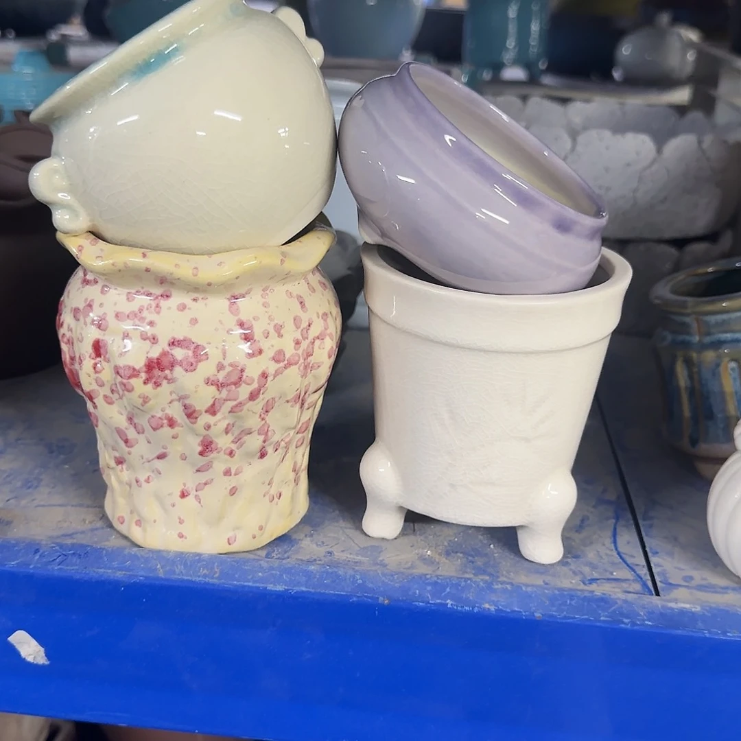 4个福利局绿植多肉盆［凑9元包邮24小时发］