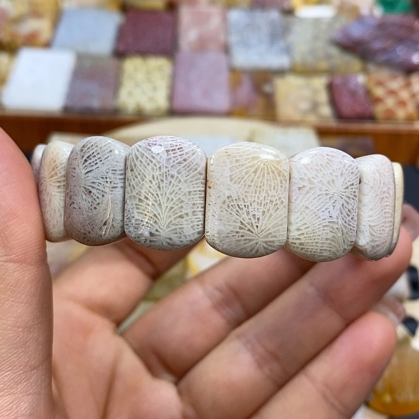 【闪购商品】硅化珊瑚（珊瑚玉）颈饰未镶嵌k 8