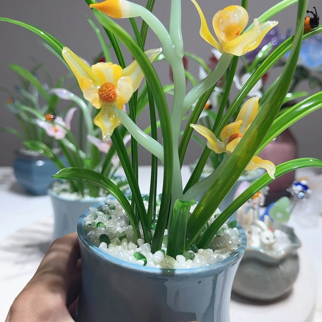 琉璃琉璃兰花1111
