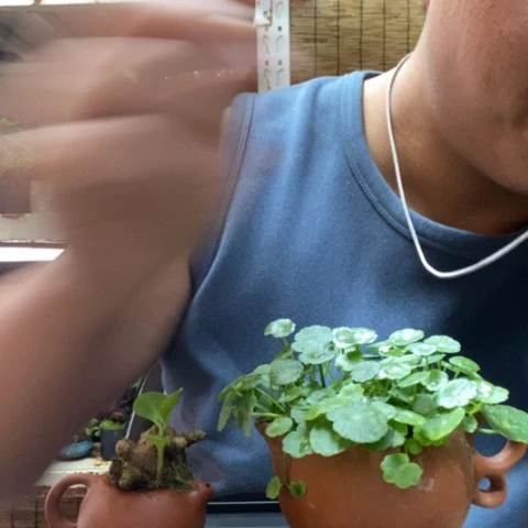 红陶一物一拍所见即所得20