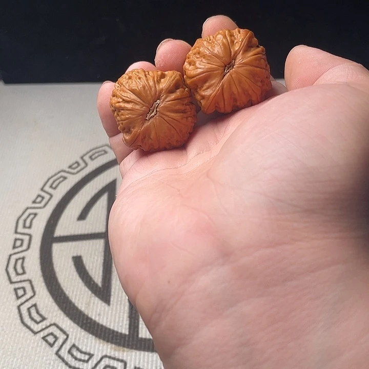 核桃和核桃为主导种植玉米