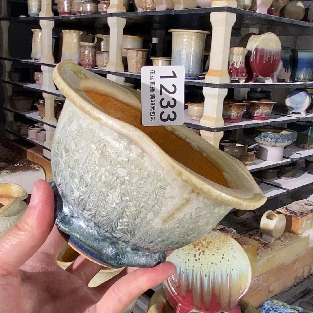 用****6花盆花盆花盆花盆优