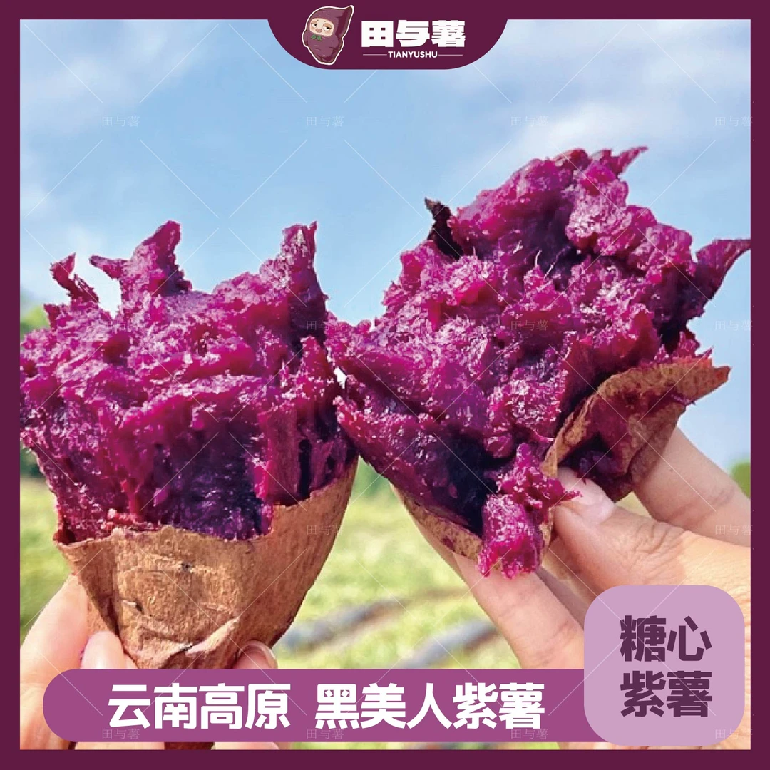 田与薯黑美人紫薯·云南高原紫薯糖心紫薯软糯香甜不干噎粗粮紫薯