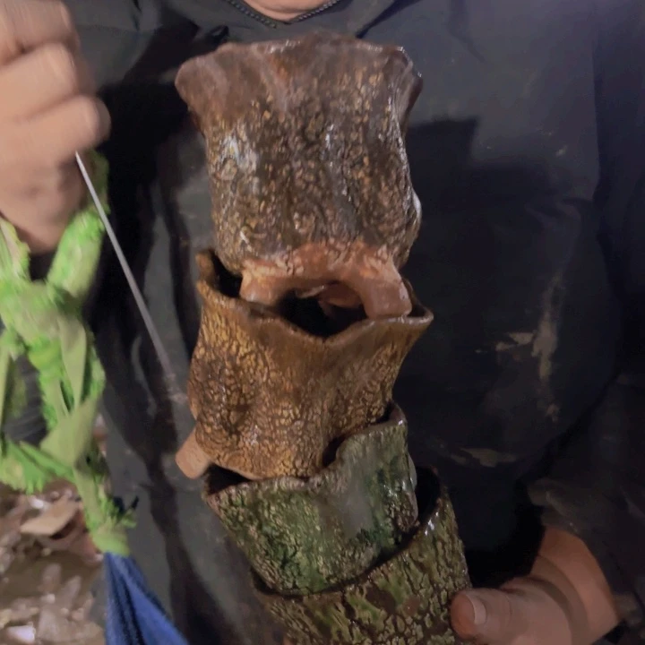 红陶口径 高度 花盆