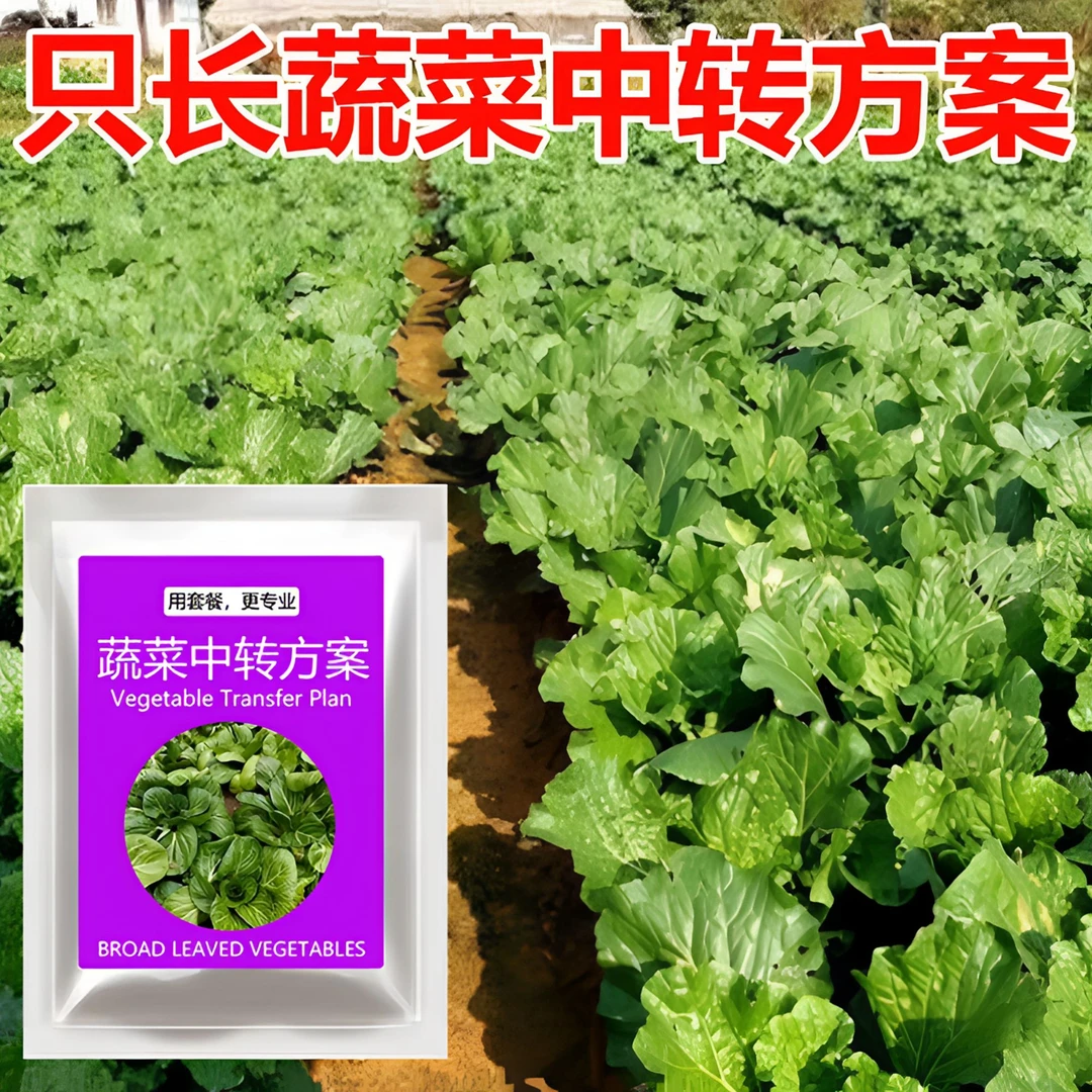 蔬菜苗后专用四效合一方案不伤茼蒿菠菜空心菜等农作物
