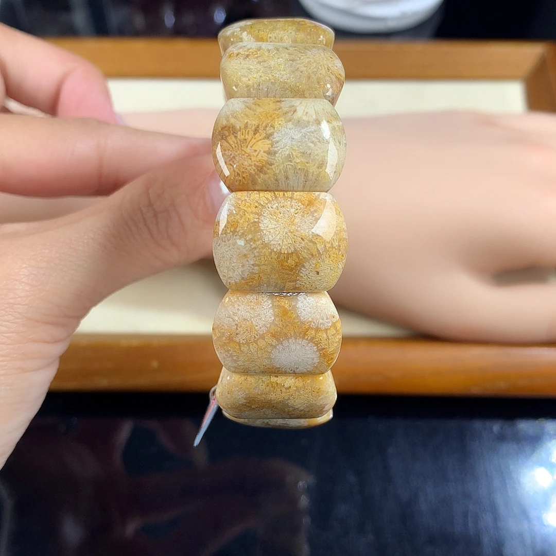 吊坠(赠链)未镶嵌硅化珊瑚（珊瑚玉）47号手排