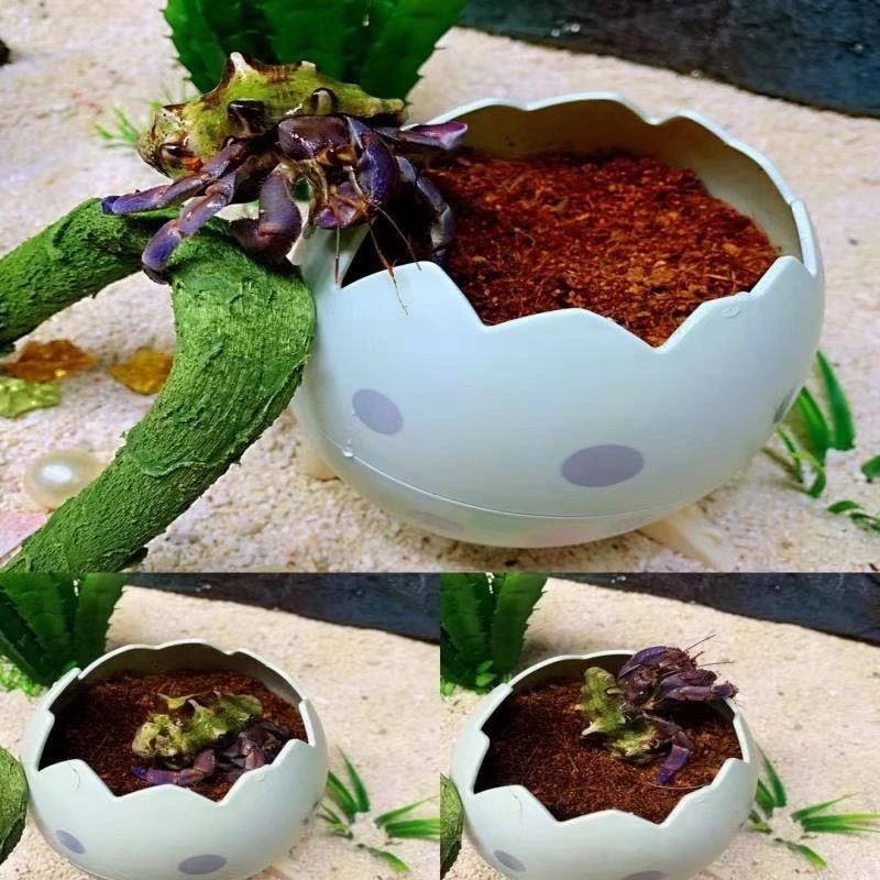 宠物寄居蟹蜕皮筒躲避筒隔离盒缸内宠物躲避造景椰土筒苔藓盒躲避