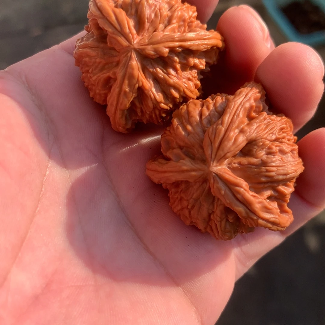 人***号文玩核桃吊坠三棱