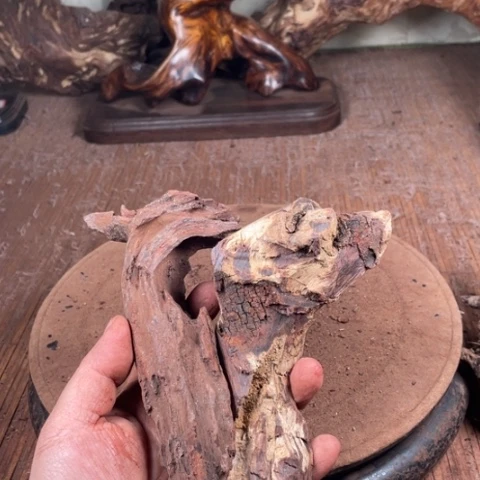 黄花梨/降香黄檀瞌****乐