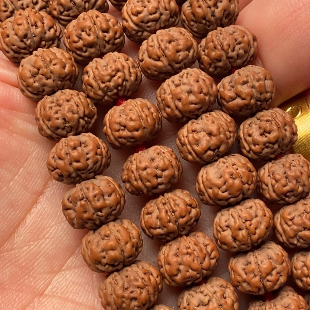 金刚菩提手串末**名纯血老树王10