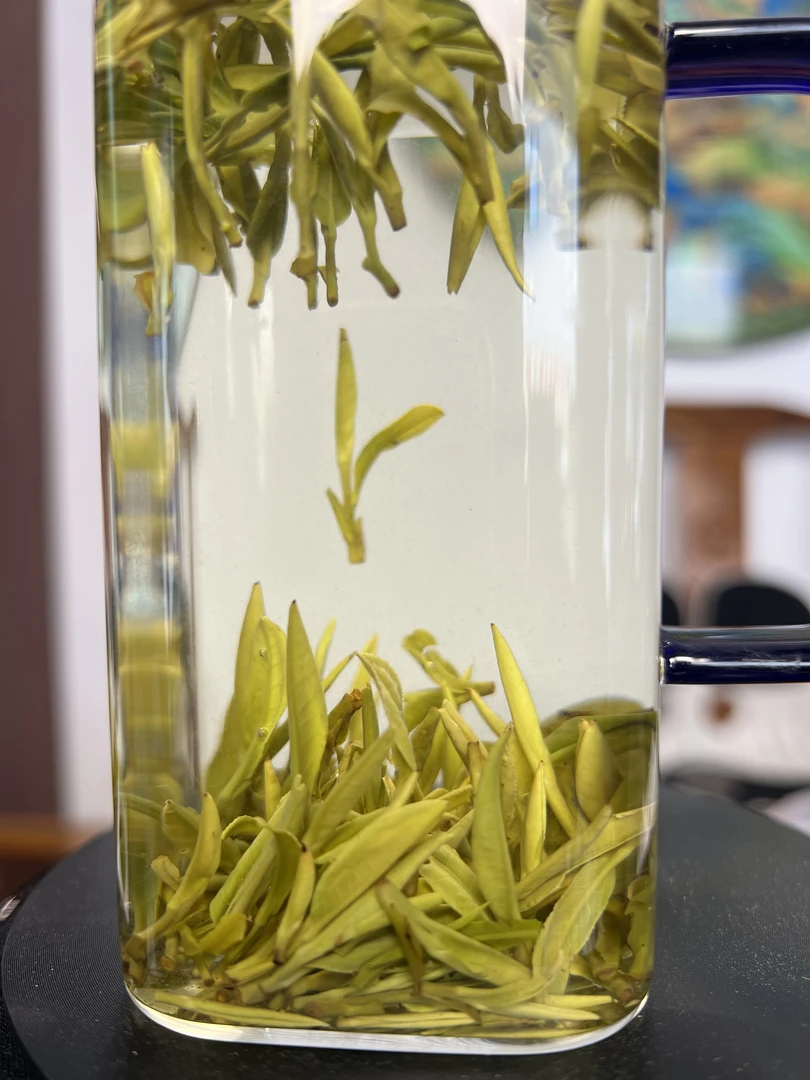 岳西翠兰2025新茶高山老品种云雾茶耐泡回甘好
