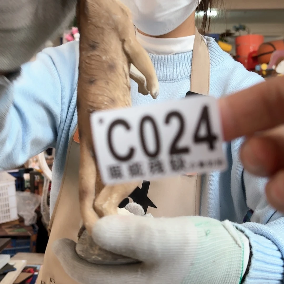 核桃木/黑胡桃（胡桃木）