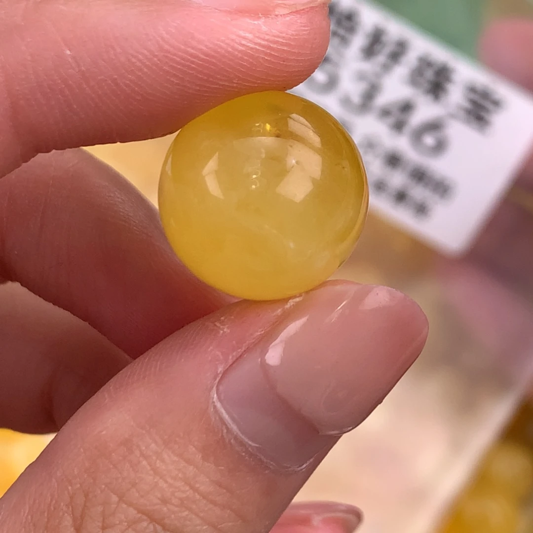 琥珀未镶嵌珠宝奇石16.3植物