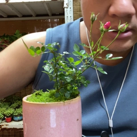 红陶禅*一物一拍所见即所得111