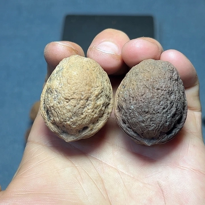 文玩核桃把件5号小罗汉35尺